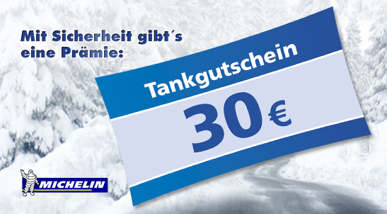 Winterreifen Michelin