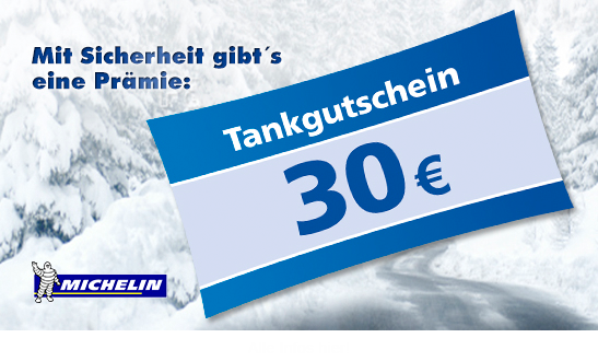 Winterreifen Michelin